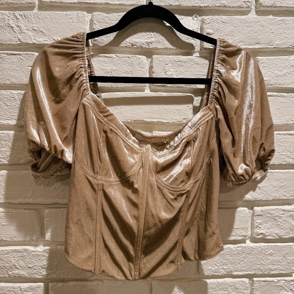 All In Favor Puff Sleeve Corset Velvet Top (L)